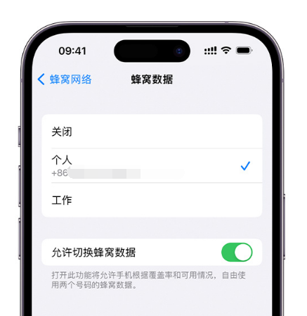 道孚苹果维修服务分享如何在iPhone上使用双卡 